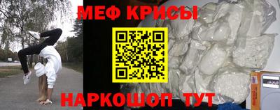 крисы Кингисепп