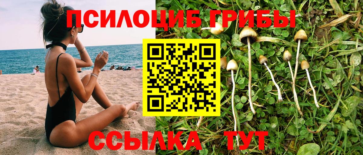 Галлюциногенные грибы GOLDEN TEACHER Краснодар