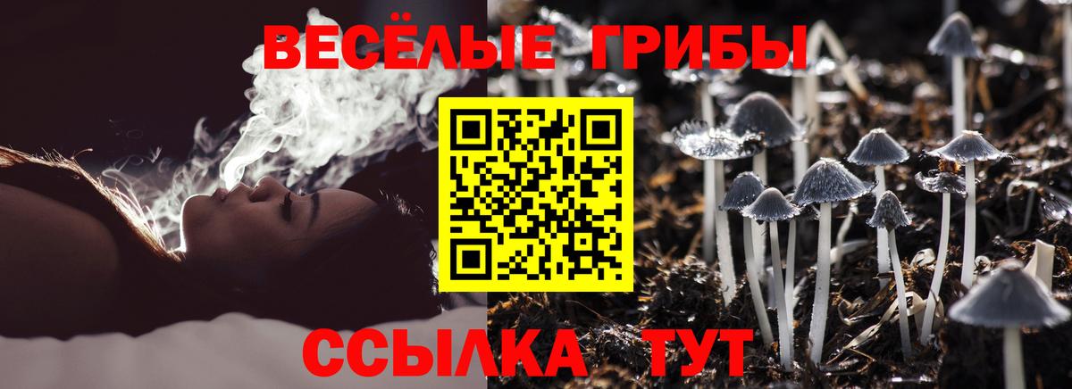 Псилоцибиновые грибы Psilocybine cubensis  Вход с VPN  Краснодар  Галлюциногенные грибы Cubensis 